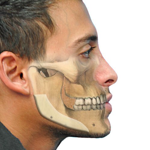 Services 7 surgery