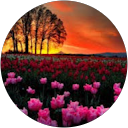 Best Orthodontist In Jumeirah, Dubai 52 Umesh Kumar profile picture